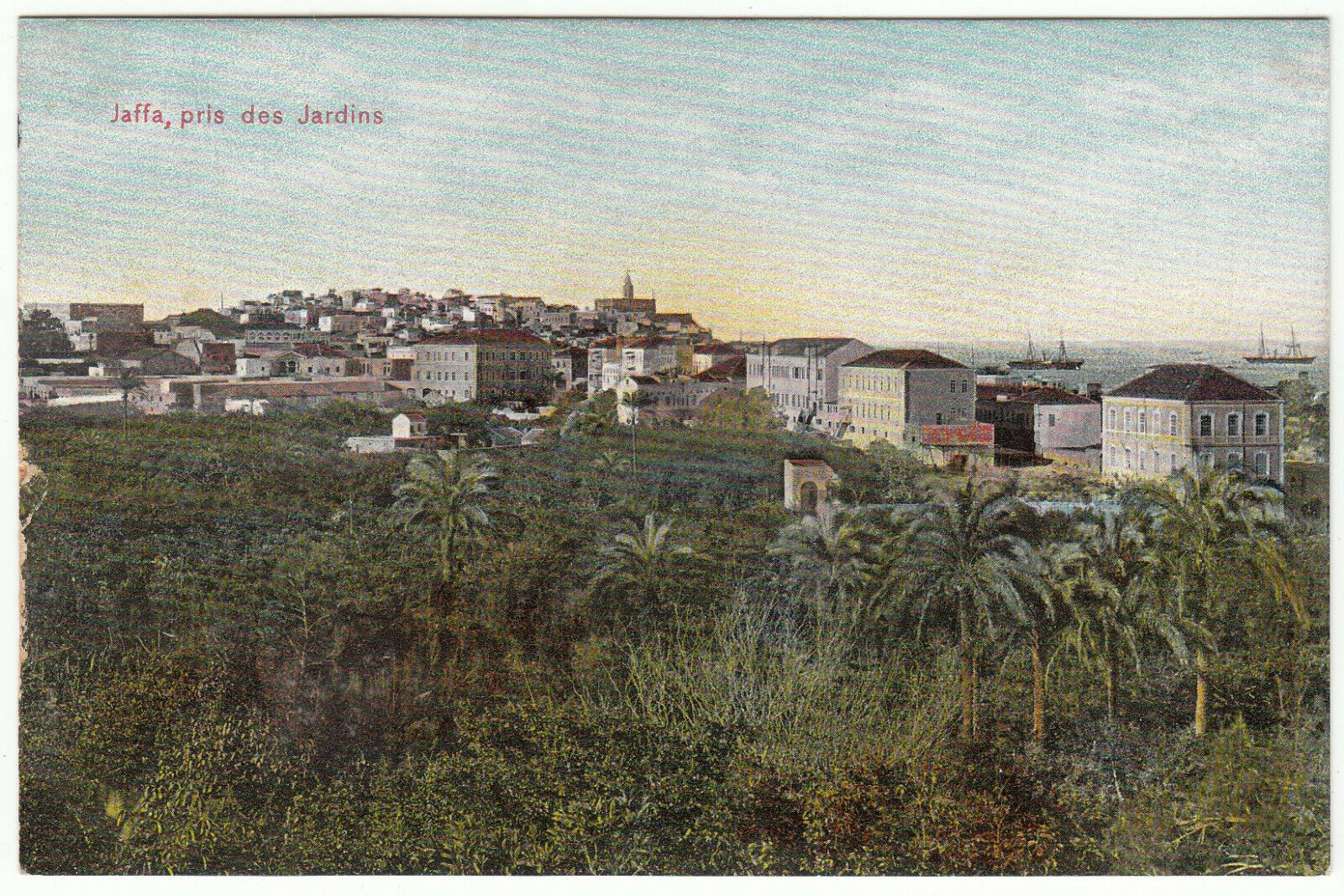 CARTE POSTALE TURQUIE JAFFA PRIS DES JARDINS 401949525146