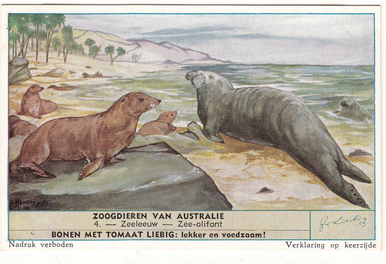 CHROMO LIEBIG APEN ZOOGDIEREN VAN AUSTRALIE ZEELEEUW ZEE OLIFANT 121906021466