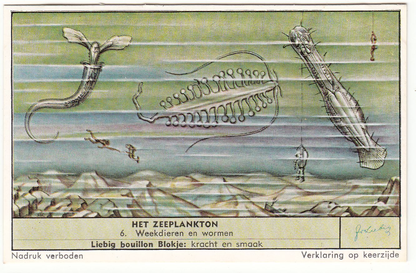 CHROMO LIEBIG HET ZEEPLANKTON WEEKDIEREN EN WORMEN 401078220856