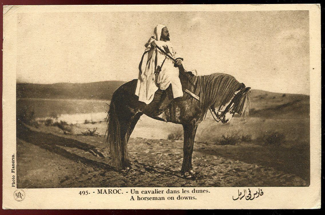 CPA MAROC UN CAVALIER DANS LES DUNES N 495 AFRIQUE 120807134786