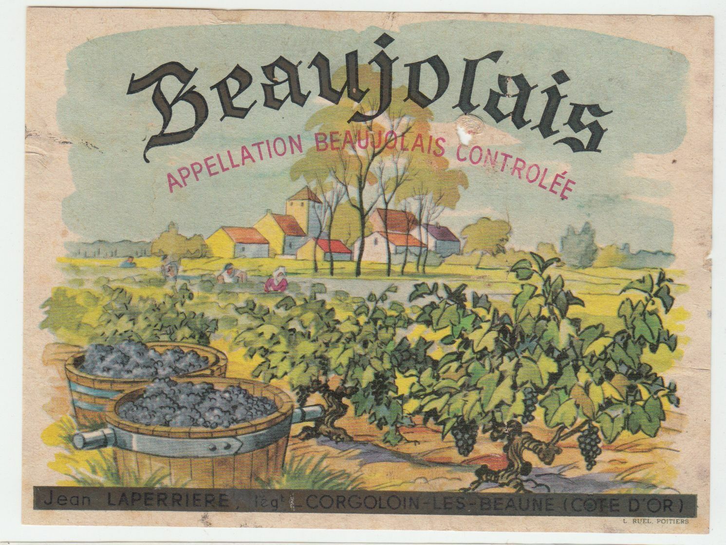 ETIQUETTE DE VIN BEAUJOLAIS JEAN LAPIERRE CORGOLOIN LES BEAUNE 124576538596