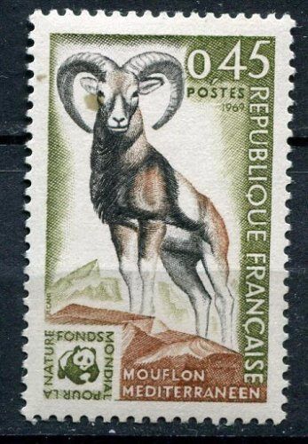 FRANCE TIMBRE NEUF N 1613 MOUFLON MEDITERRANEEN 120666193606