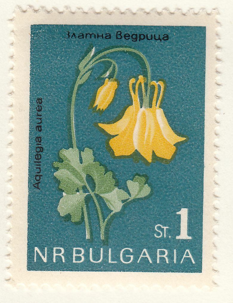 TIMBRE BULGARIE NEUF N 1208 FLEURS ANCOLIE 124051041746