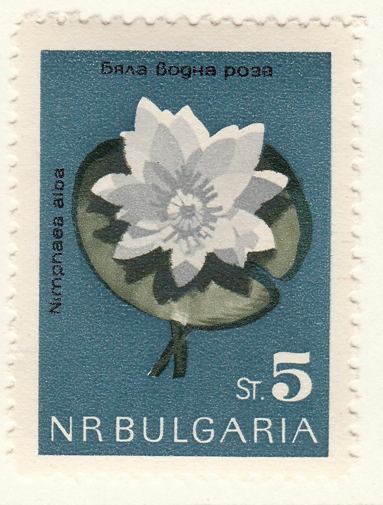 TIMBRE BULGARIE NEUF N 1211 FLEURS NENUPHARE 124051043946