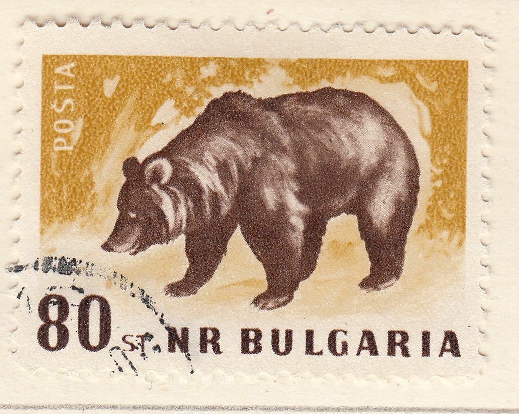 TIMBRE BULGARIE OBL N 925 GIBIERS L OURS 124050171886