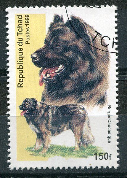 TIMBRE CHIEN BERGER CAUCASIQUE 110771998356