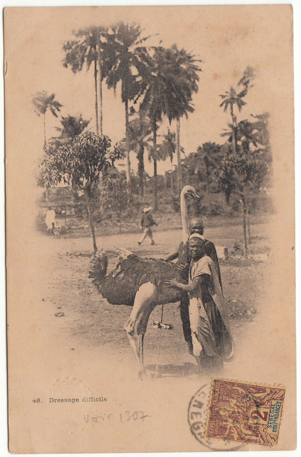 CARTE POSTALE AFRIQUE SENEGAL DRESSAGE DIFFICILE 401950782347