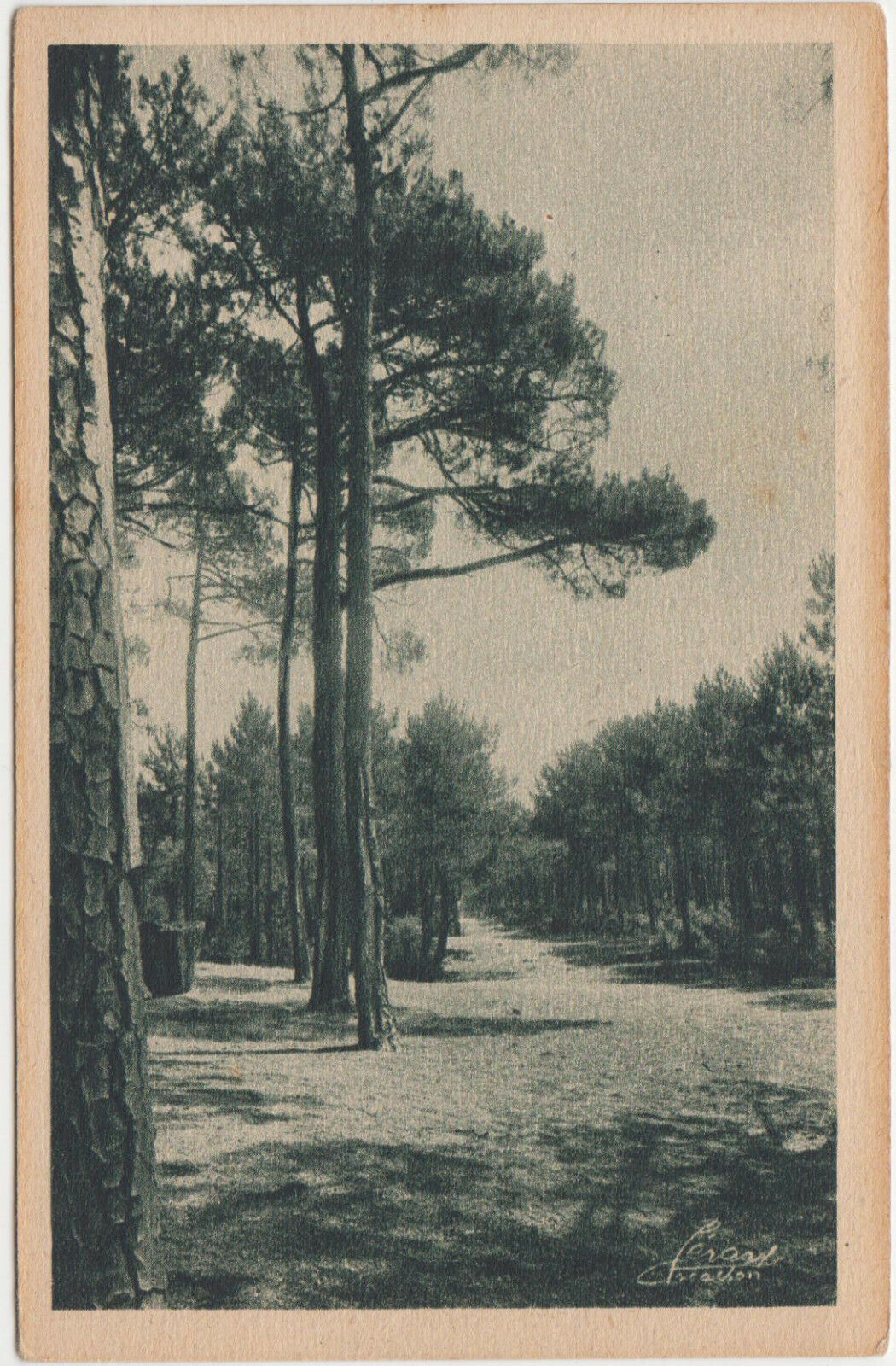 CARTE POSTALE AUTOUR DU BASSIN D ARCACHON COUPE FEU EN FORET 123920189967