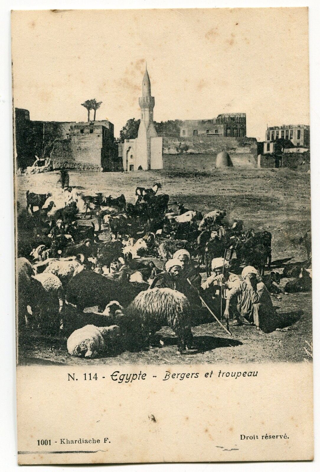 CARTE POSTALE EGYPTE BERGERS ET TROUPEAU 400667286707