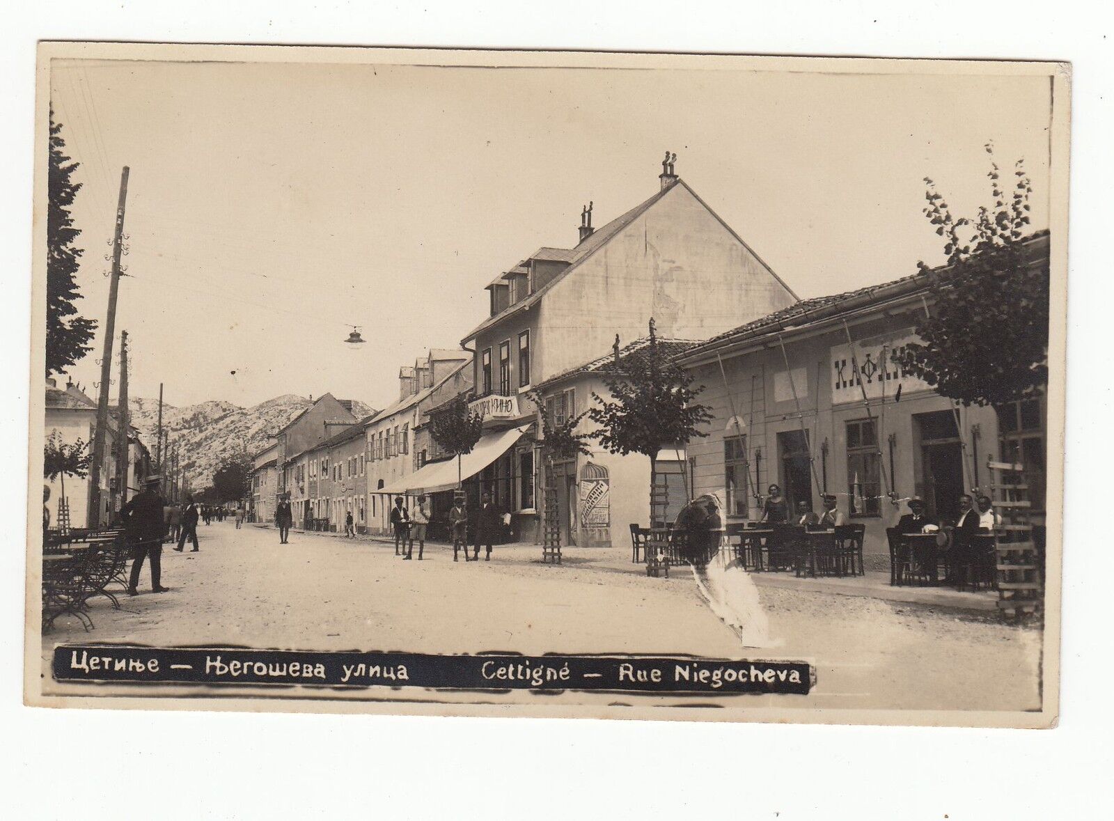 CARTE POSTALE MONTENEGRO CETTIGNE RUE NIEGOCHEVA 401089274367