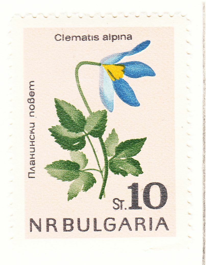 TIMBRE BULGARIE NEUF N 1214 FLEURS CLEMATITES 124051045047