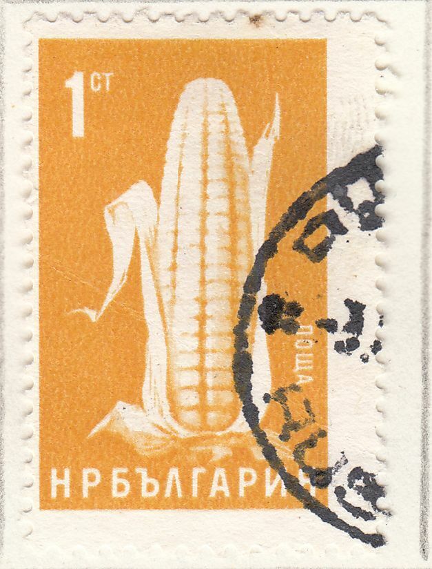 TIMBRE BULGARIE OBL N 1334 AGRICULTURE MAIS 124053840937