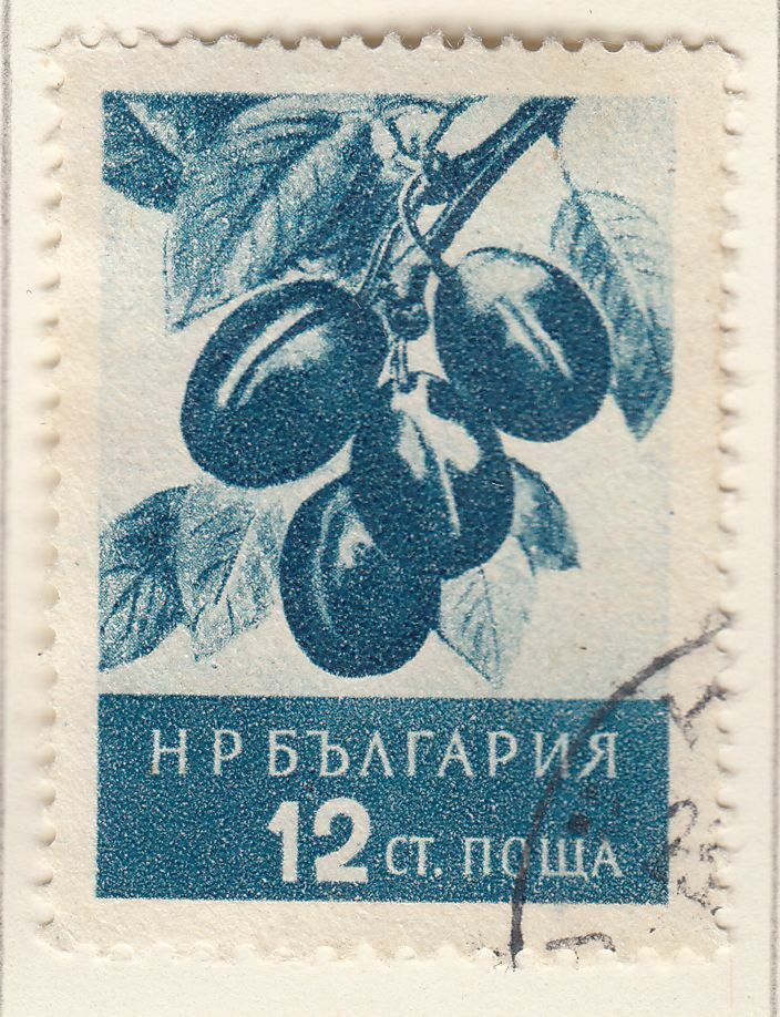 TIMBRE BULGARIE OBL N 854 FRUITS PRUNES 124050180097