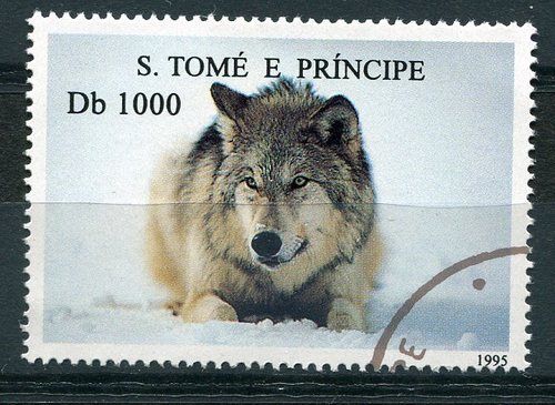 TIMBRE CHIEN DE RACE LOUP DANS LA NEIGE 110750462807