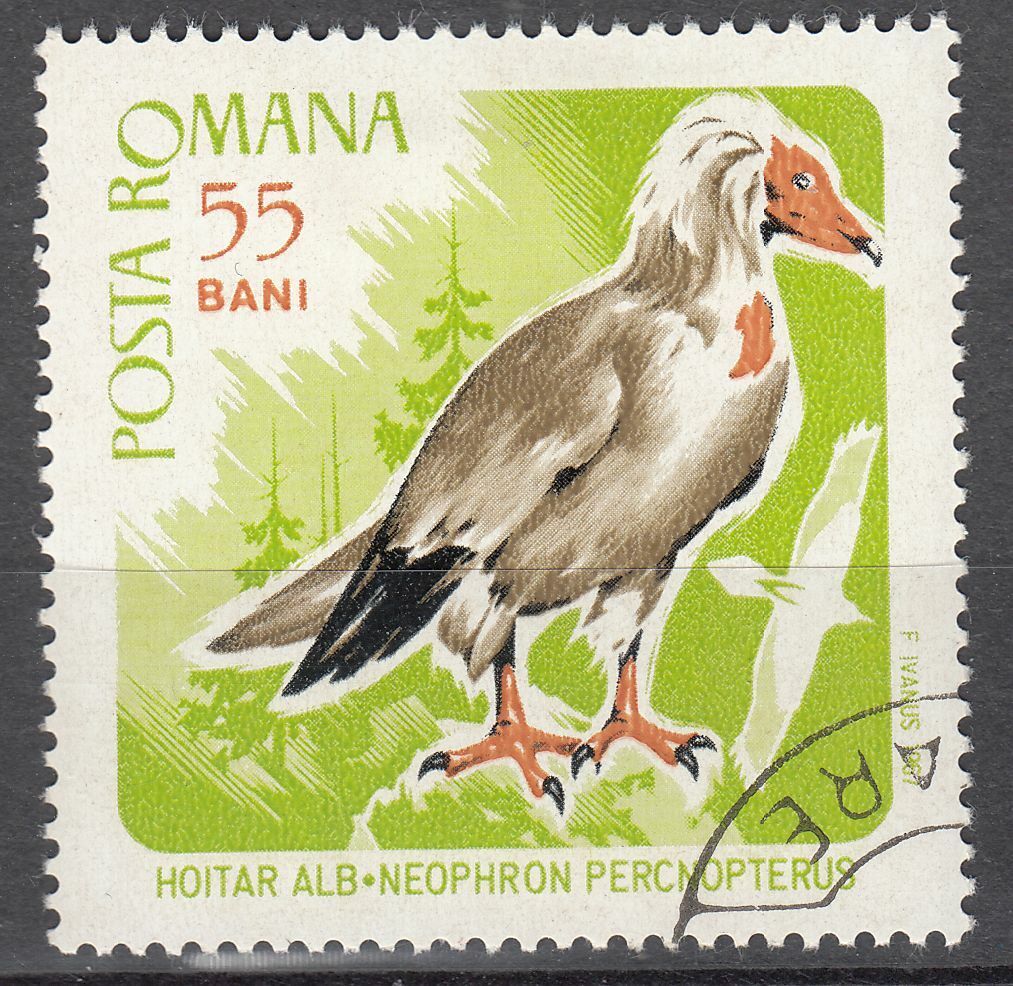 TIMBRE ROUMANIE OBL N 2281 OISEAUX ET PROIE PERCNOPTERE D EGYPTE 124008206387