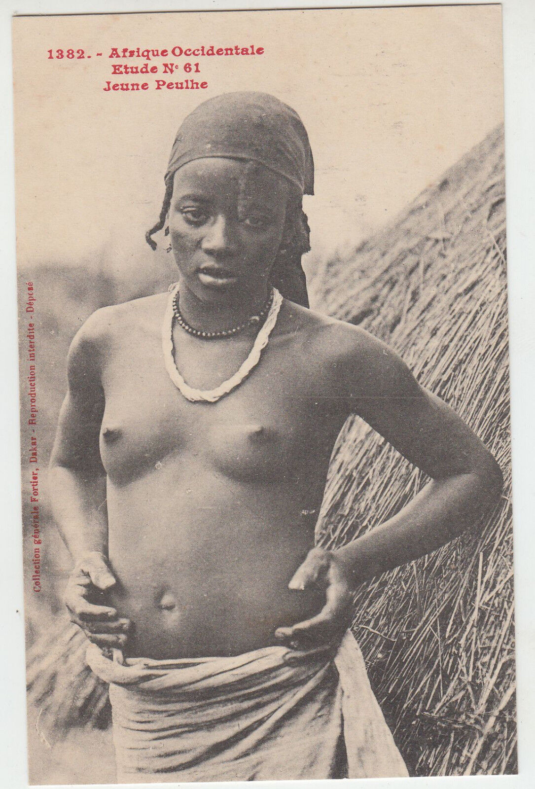 CARTE POSTALE AFRIQUE OCCIDENTALE ETUDE N 61 JEUNE PEULHE 123558533268