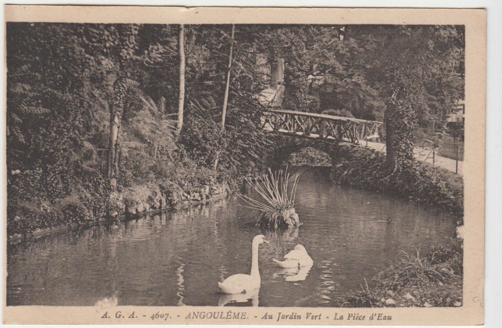 CARTE POSTALE ANGOULEME AU JARDIN VERT LA PIECE D EAU 401921781028