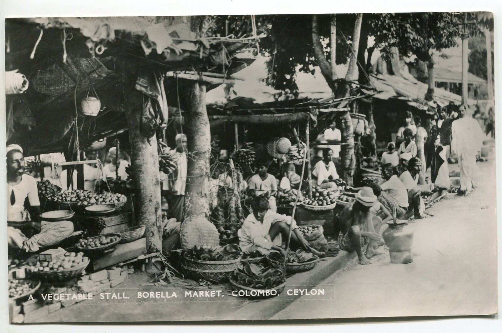 CARTE POSTALE CEYLON A VEGETABLE STALL BORELLA MARKET COLOMBO ST SAVINE 1952 400731688628