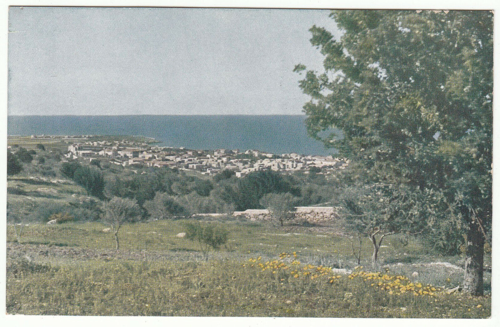 CARTE POSTALE HAIFA CAIFA 123966859688