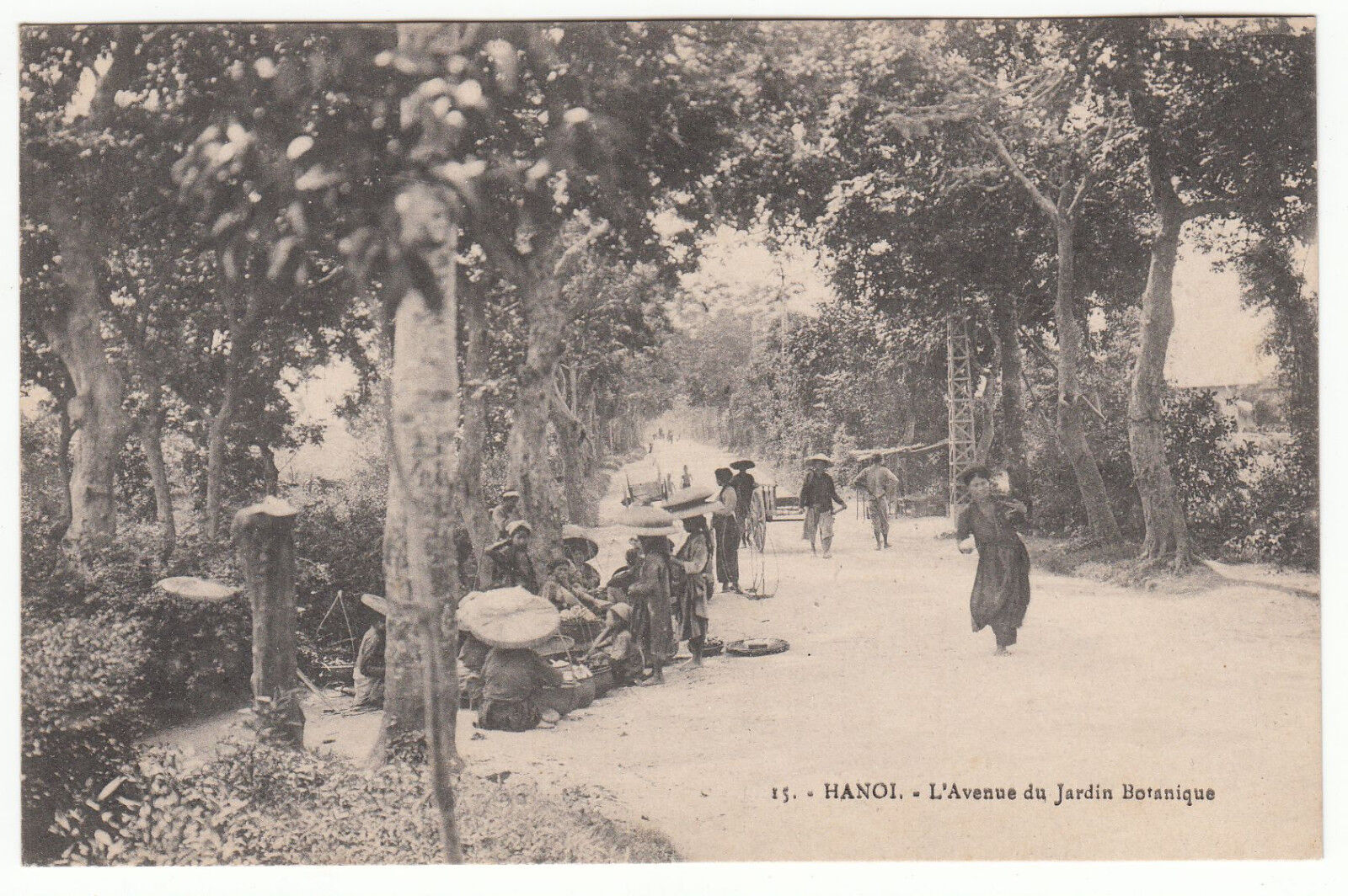 CARTE POSTALE HANOI L AVENUE DU JARDIN BOTANIQUE 123014033378