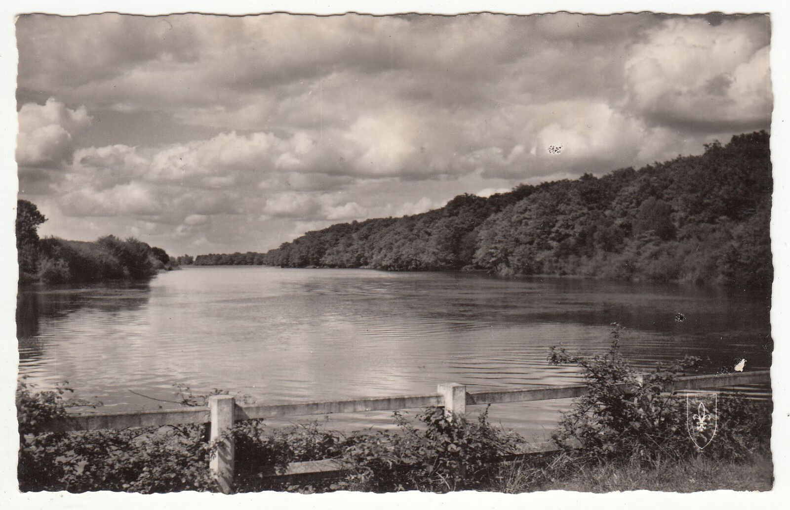 CARTE POSTALE LA FORET DE TRONCAIS ETANG DE PIROT 401371190138