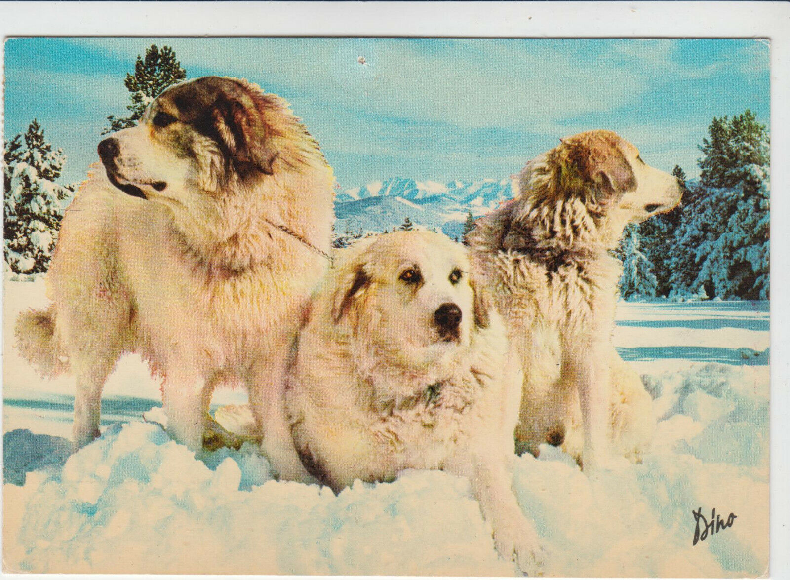 CARTE POSTALE MODERNE CHIEN DES PYRENEES JUPITER ISIS MINERVE 401931905968