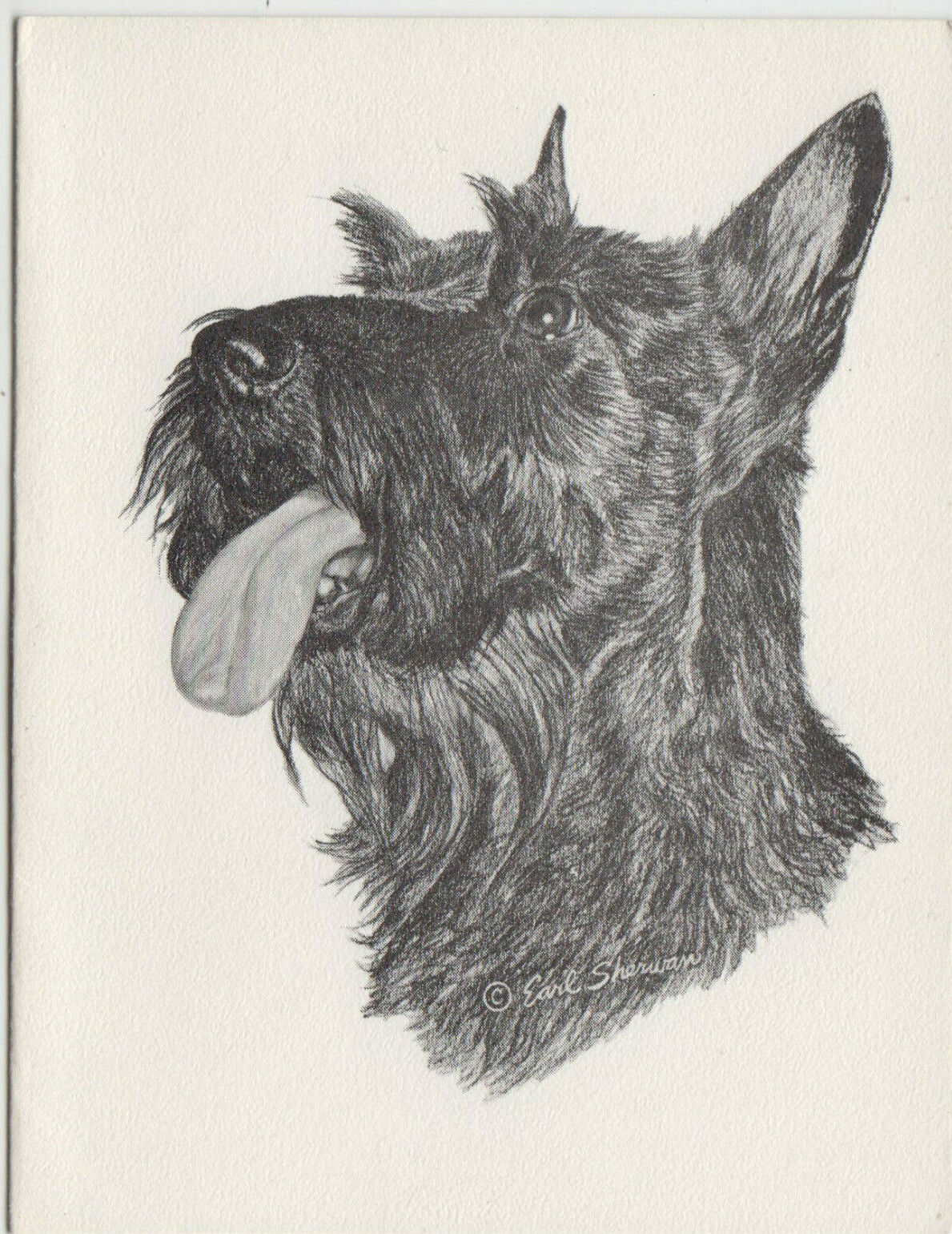 CARTE POSTALE MODERNE CHIEN SCHNAUZER 123949846528