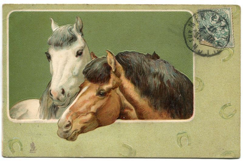 CARTE POSTALE RAPHAEL TUCK GAUFREE CHEVAUX 121275636278