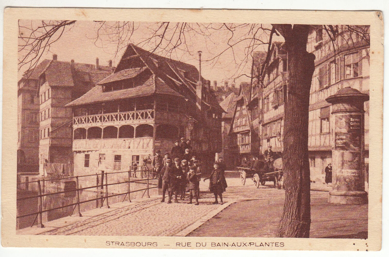 CARTE POSTALE STRASBOURG RUE DU BAIN AUX PLANTES 401218915108