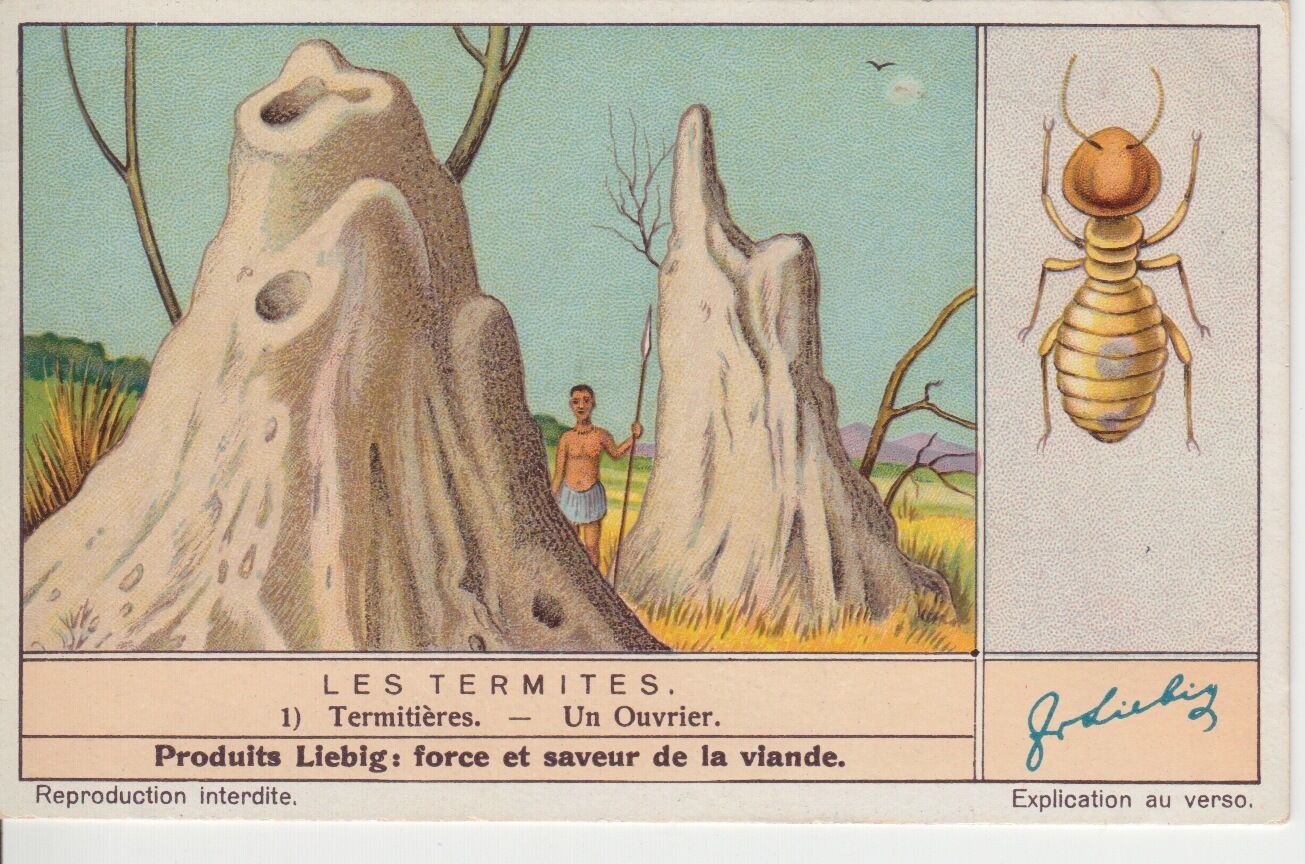 CHROMO LIEBIG LES TERMITES TERMITIERES UN OUVRIER 400790004338