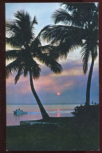 CP USA TROPICAL SUNSET FLORIDA S SEA COAST 110644729418