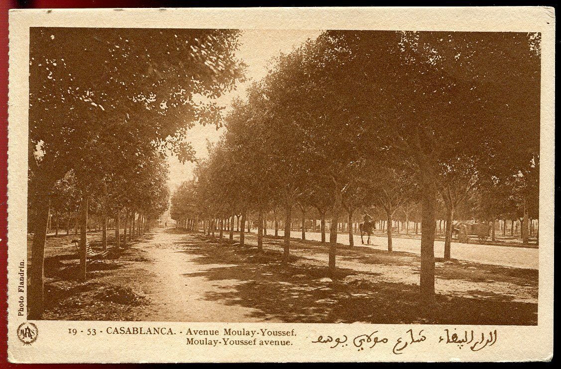 CPA CASABLANCA AVENUE MOULAY YOUSSEF N 1953 AFRIQUE 110771212408