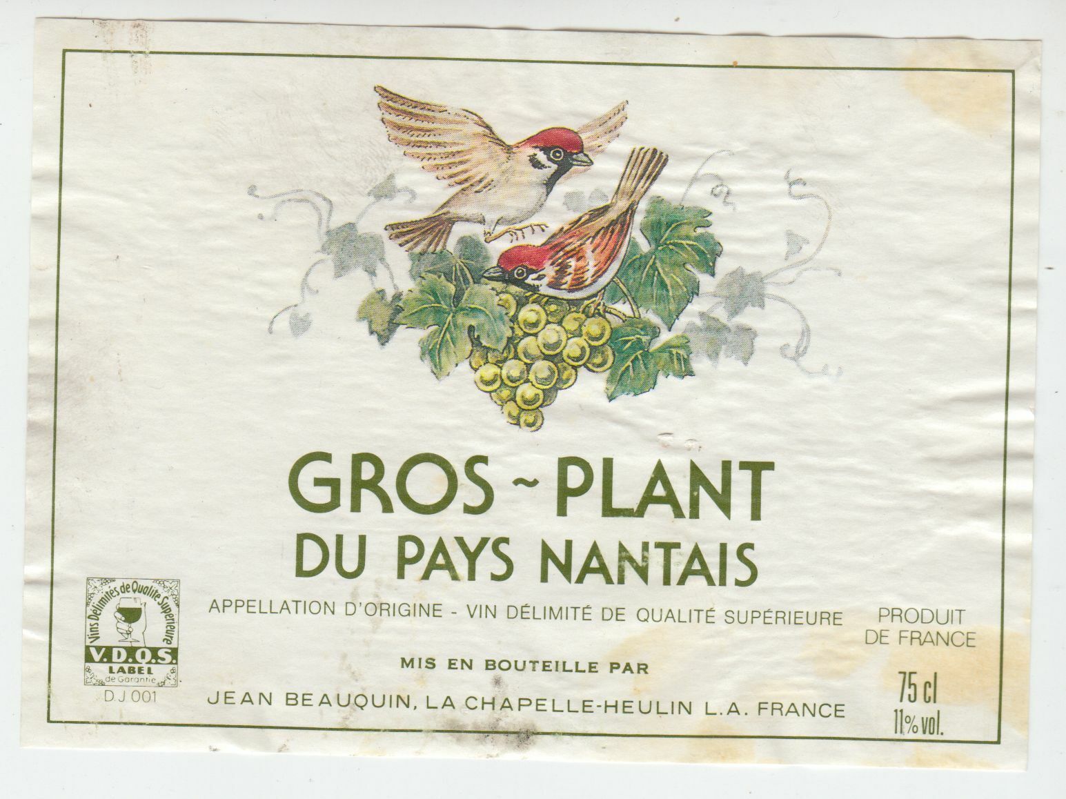 ETIQUETTE DE VIN GROS PLANT DU PAYS NANTAIS OISEAUX 402631698518