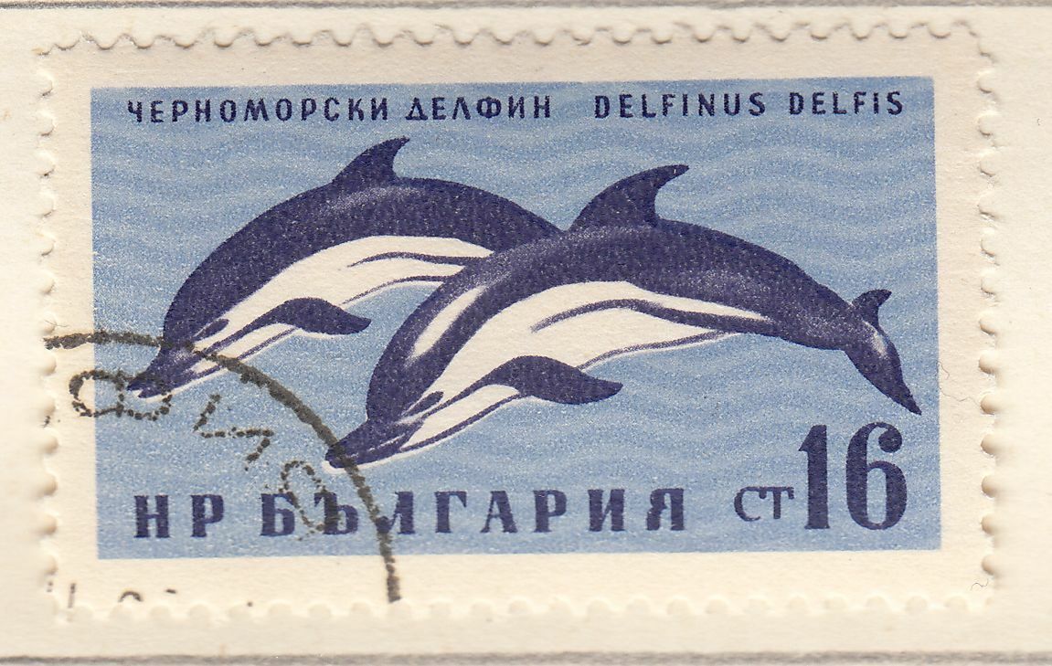 TIMBRE BULGARIE OBL N 1082 FAUNE DAUPHINS 124050215738