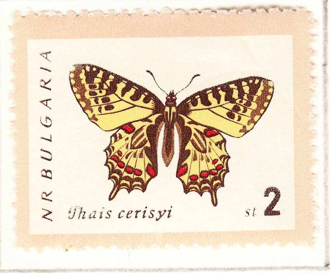 TIMBRE BULGARIE OBL N 1156 PAPILLON THAIS CERISYI 402042088538