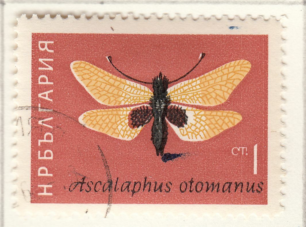 TIMBRE BULGARIE OBL N 1247 INSECTE ASCALAPHUS OTOMANUS 124053835838