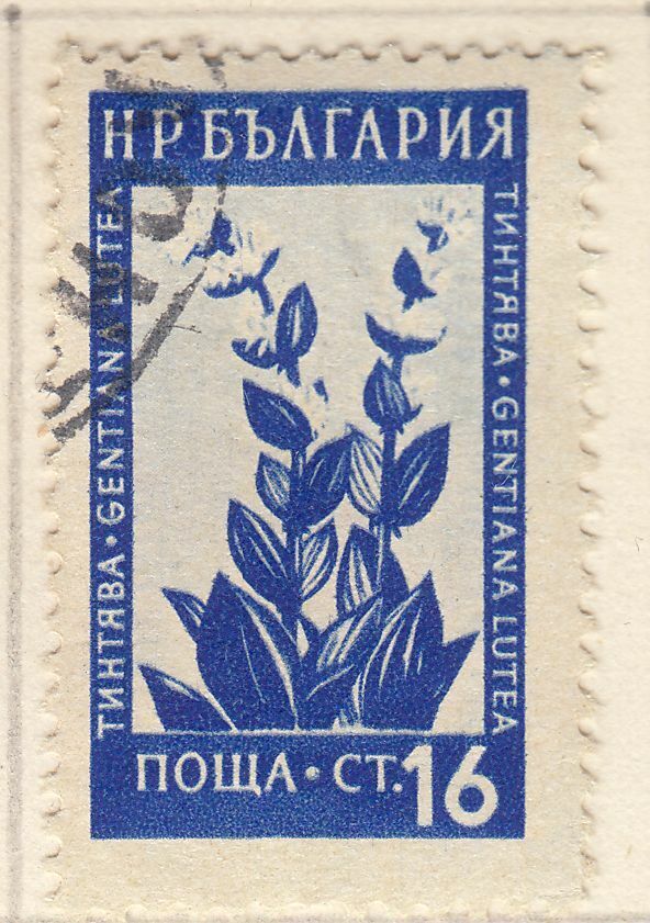 TIMBRE BULGARIE OBL N 775 FLEUR ET PLANTE GENTIANA LUTEA 124049047828