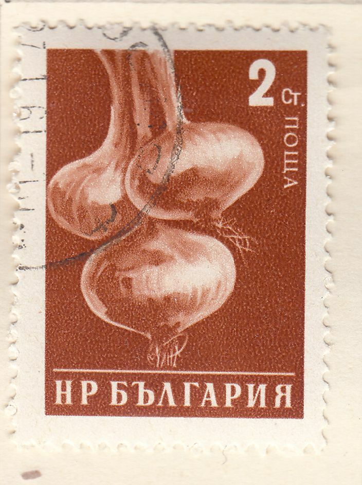 TIMBRE BULGARIE OBL N 937 LEGUME OIGNONS 124050172718