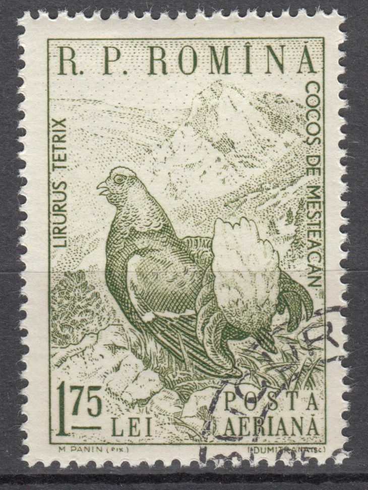 TIMBRE ROUMANIE OBL PA N 108 FAUNE OISEAU TETRAS LYRE 124017594268