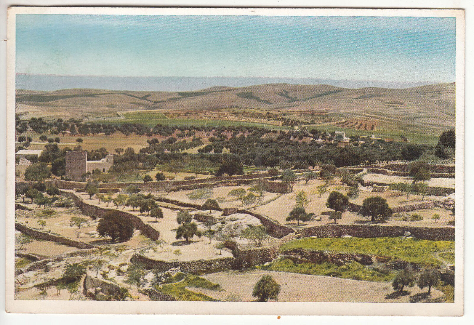 CARTE POSTALE BETHLEHEM BLICK NACH DER WUSTE UND DEM HIRTENFELD 122405570879