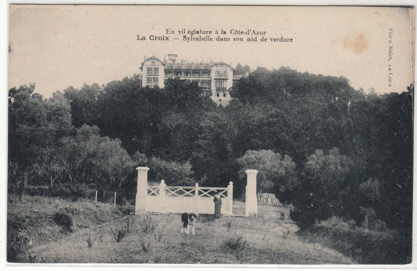 CARTE POSTALE LA CROIX SYLVABELLE SANS SON NID DE VERDURE 401933448739