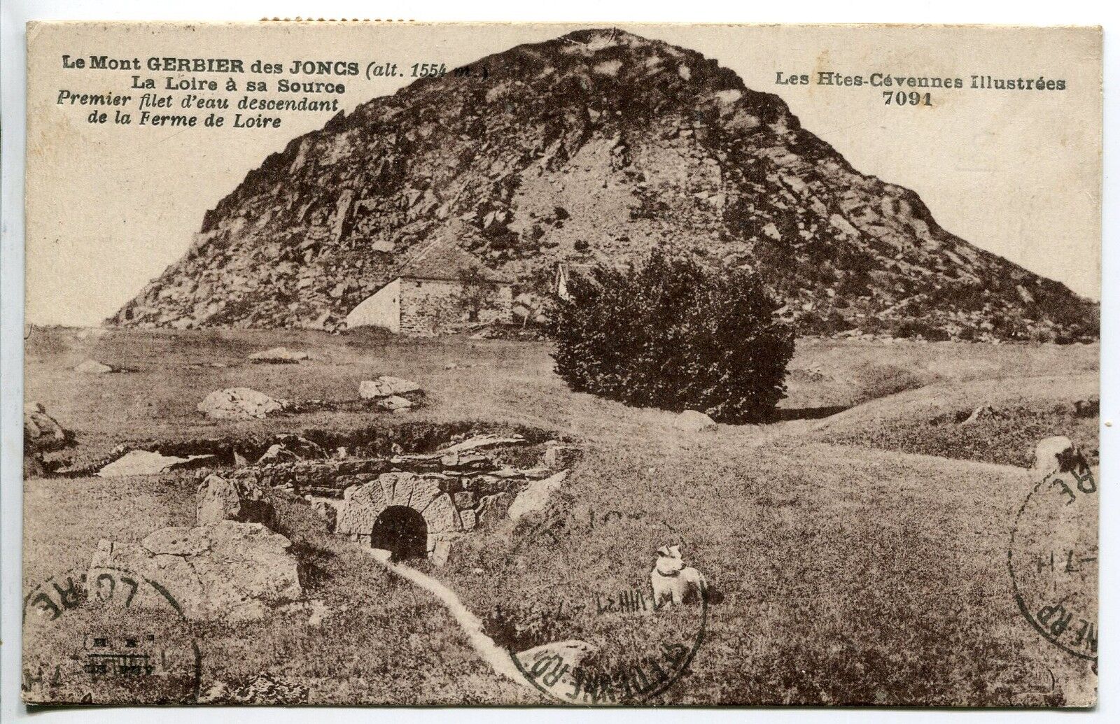 CARTE POSTALE LE MONT GERBIER DES JONC LA LOIRE A LA SOURCE 400817748649