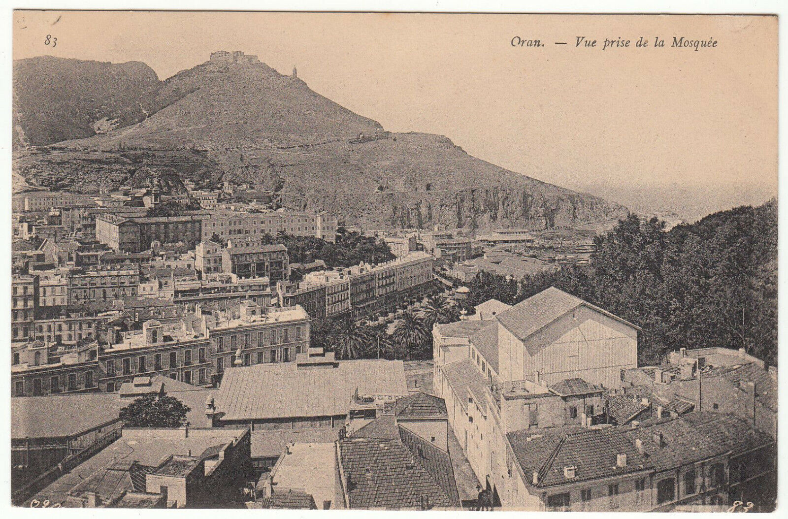 CARTE POSTALE ORAN VUE PRISE DE LA MOSQUEE 401942773389