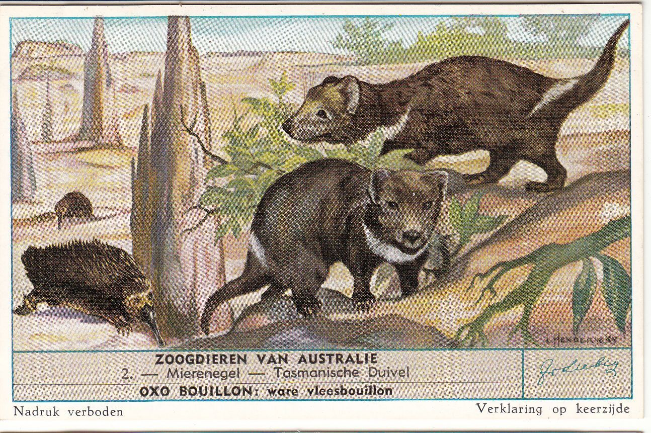 CHROMO LIEBIG APEN ZOOGDIEREN VAN AUSTRALIE MIERENEGEL TASMANISCHE DUIVEL 401078232359