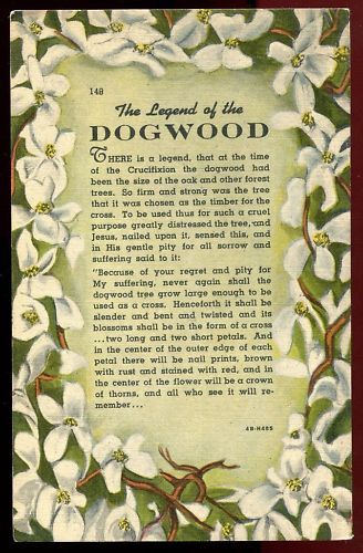 CP USA THE LEGEND OF THE DOGWOOD 110644729139