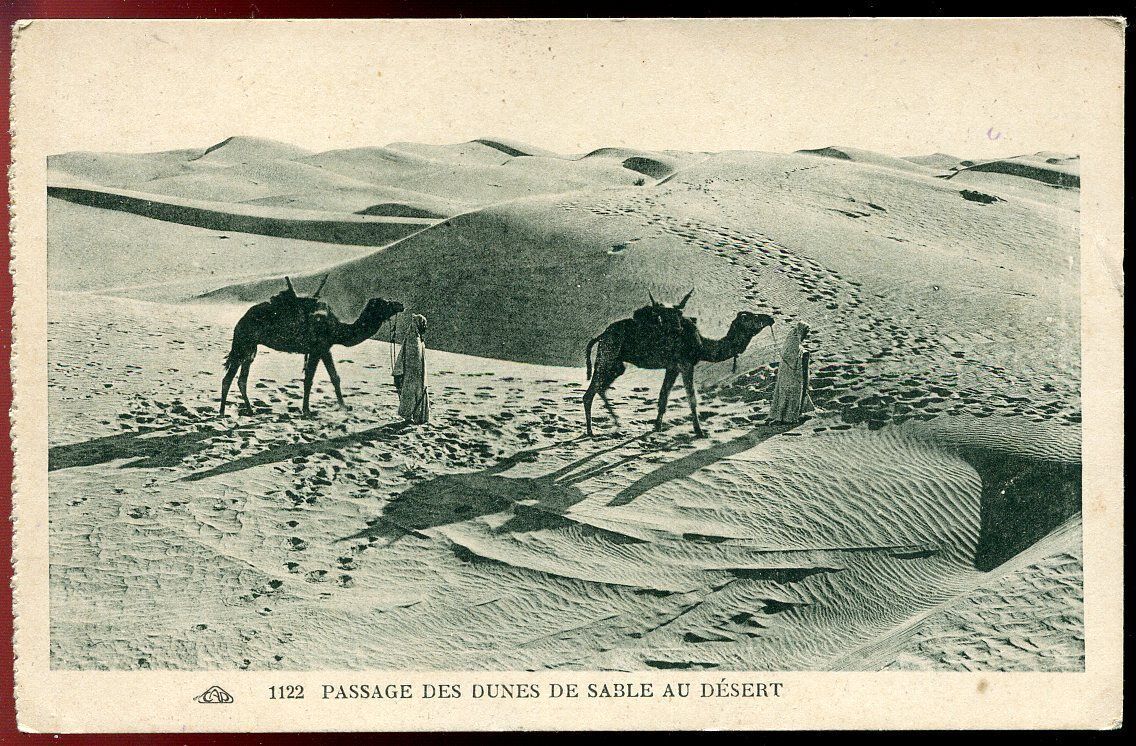 CPA PASSAGE DES DUNES DE SABLE AU DESERT N 1122 AFRIQUE 110770751949