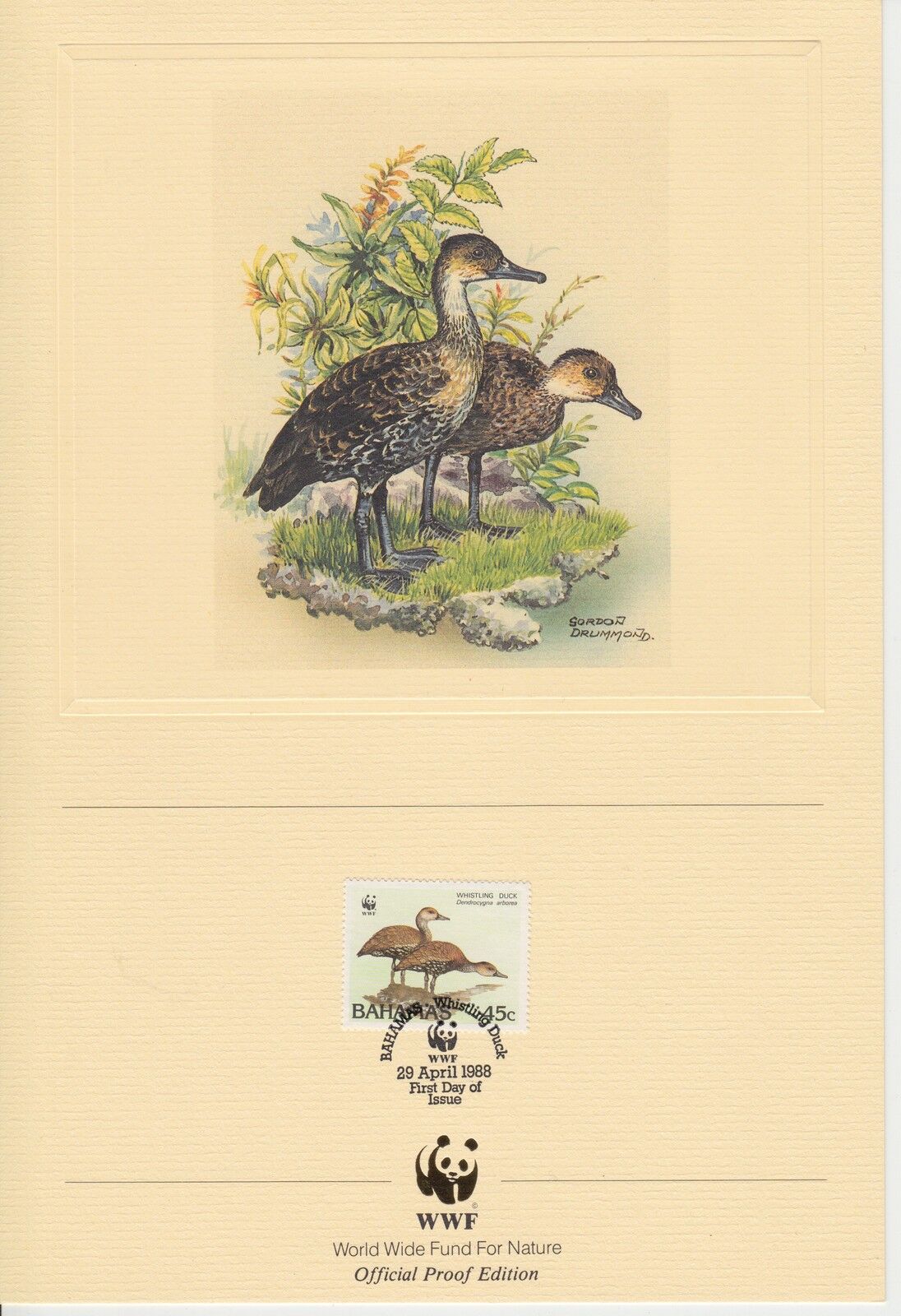 ENCART WWF FDC BAHAMAS WHISTLING DUCK 1988 400808603599