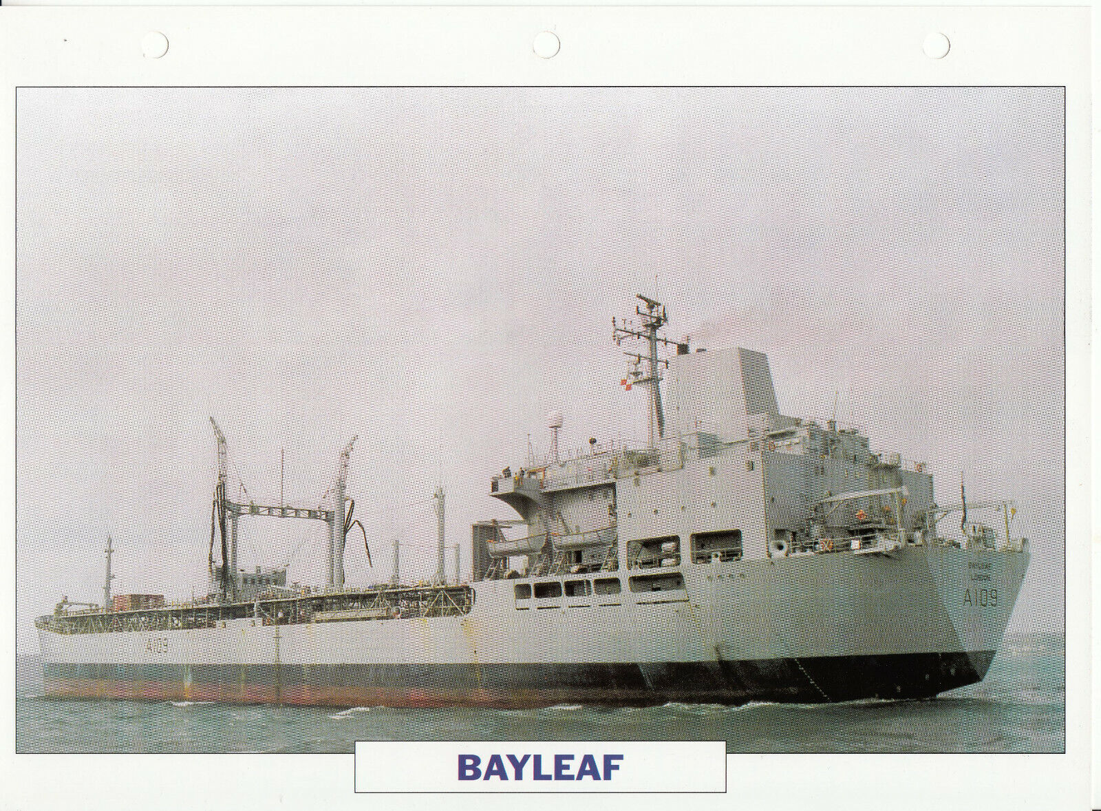 PHOTO BATEAU MILITAIRE DONNEES TECHNIQUES BAYLEAF GRANDE BRETAGNE 1981 401778981899