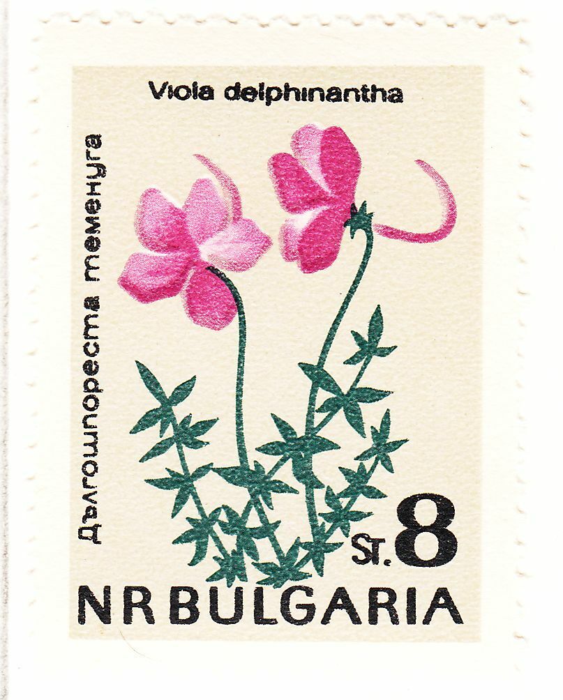 TIMBRE BULGARIE NEUF N 1213 FLEURS VIOLETTE 124051044729