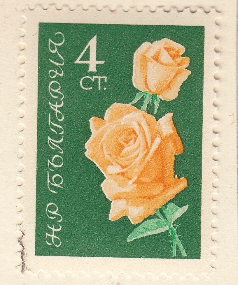 TIMBRE BULGARIE OBL N 1129 FLEURS ROSE 124050903639